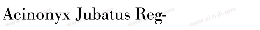 Acinonyx Jubatus Reg字体转换